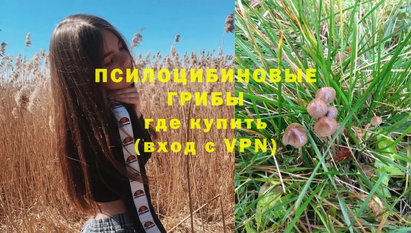 гашиш Покачи