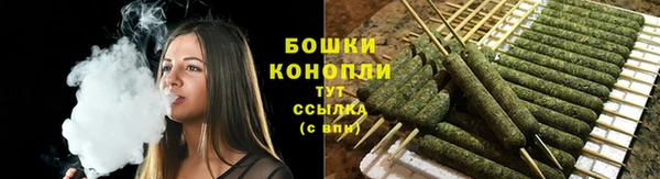 2c-b Бикин