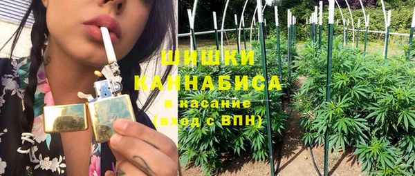 молекула духа Протвино