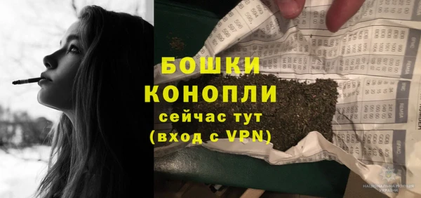 молекула духа Аркадак